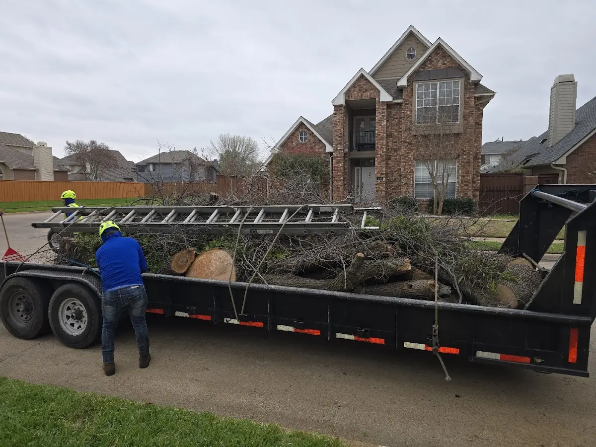 Expert Tree Removal with proper safety equipment in Saint George